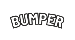 Bumper